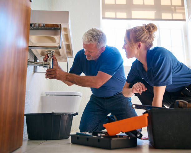 Best Commercial Plumbing Services  in West St Paul, MN